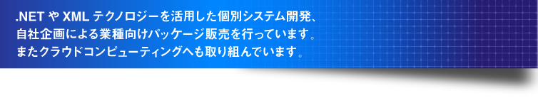 .NETやXMLテクノロジーを活用した個別システム開発、自社企画による業種向けパッケージ販売を行っています。またクラウドコンピューティングへも取り組んでいます。